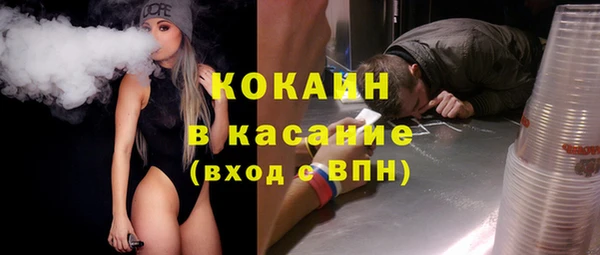твердый Абаза