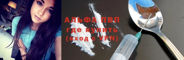 твердый Абаза