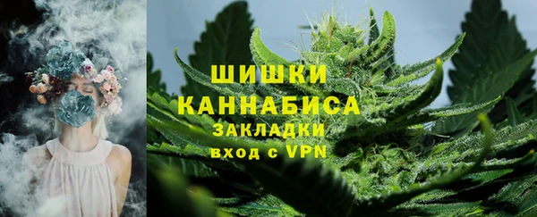 твердый Абаза