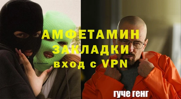 твердый Абаза